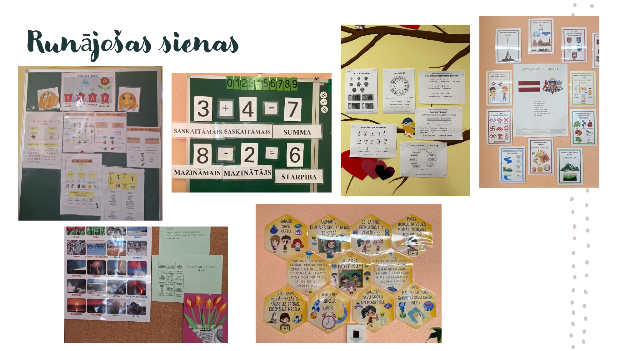 Vienotas skolas ieviešana